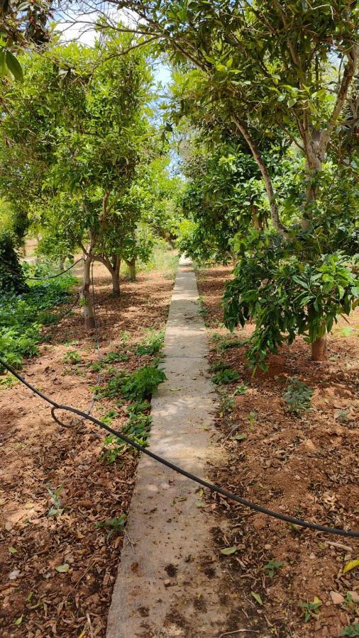 Stunning Villa With Pool, Table Tennis, Table Soccer And A Pool Table Naxxar Eksteriør bilde